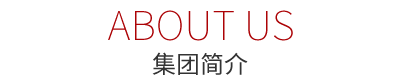 尊龙凯时集团简介